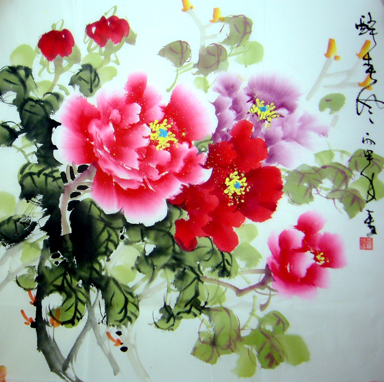 三尺斗方富贵牡丹